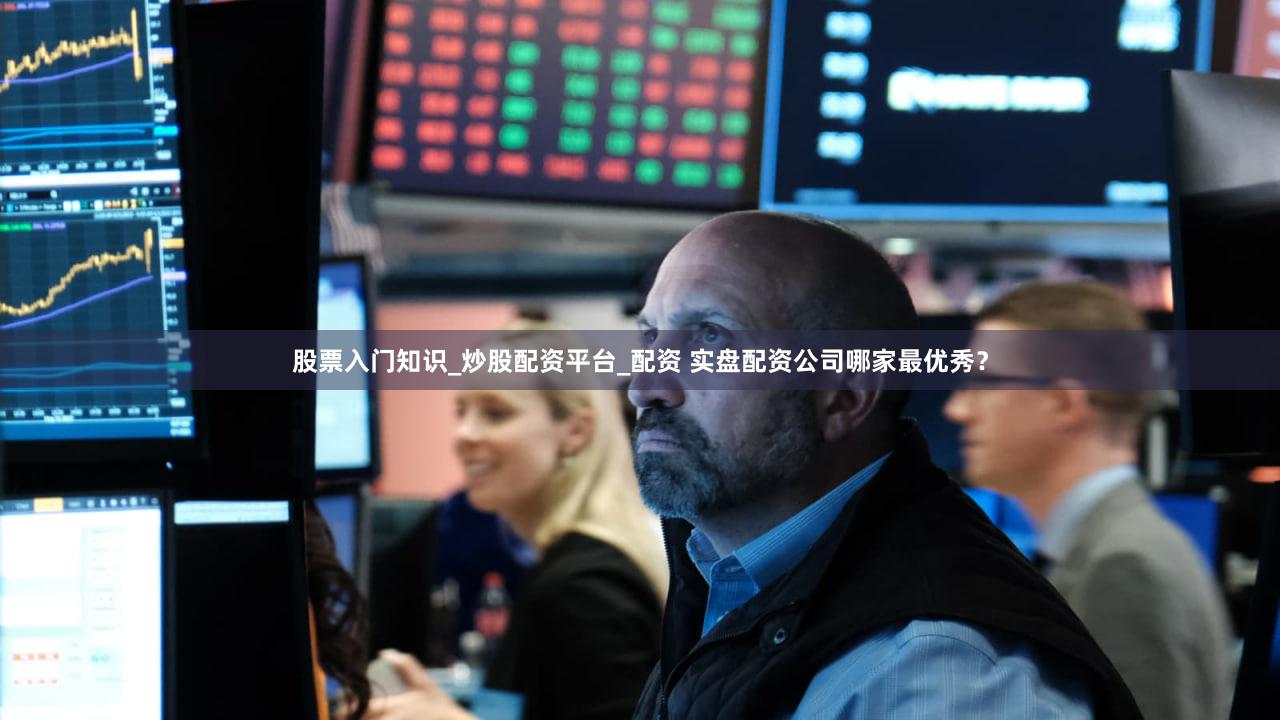 股票入门知识_炒股配资平台_配资 实盘配资公司哪家最优秀？