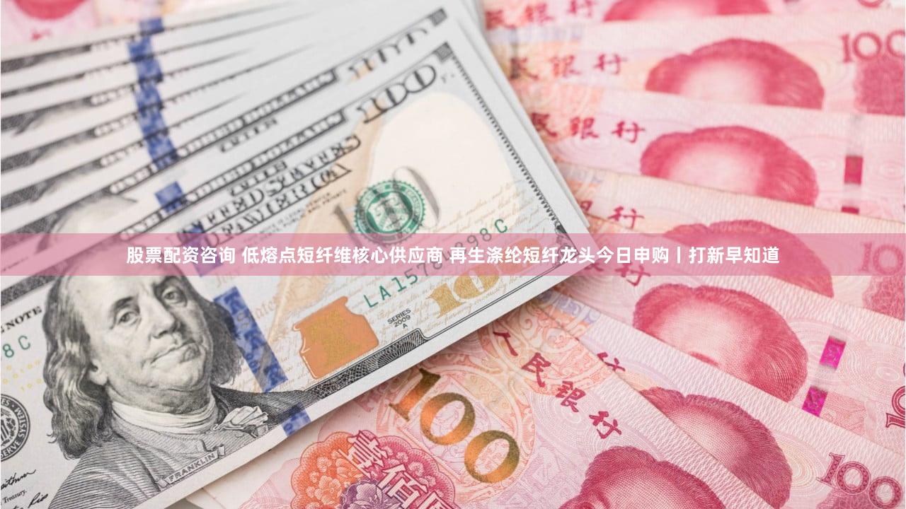 股票配资咨询 低熔点短纤维核心供应商 再生涤纶短纤龙头今日申购丨打新早知道
