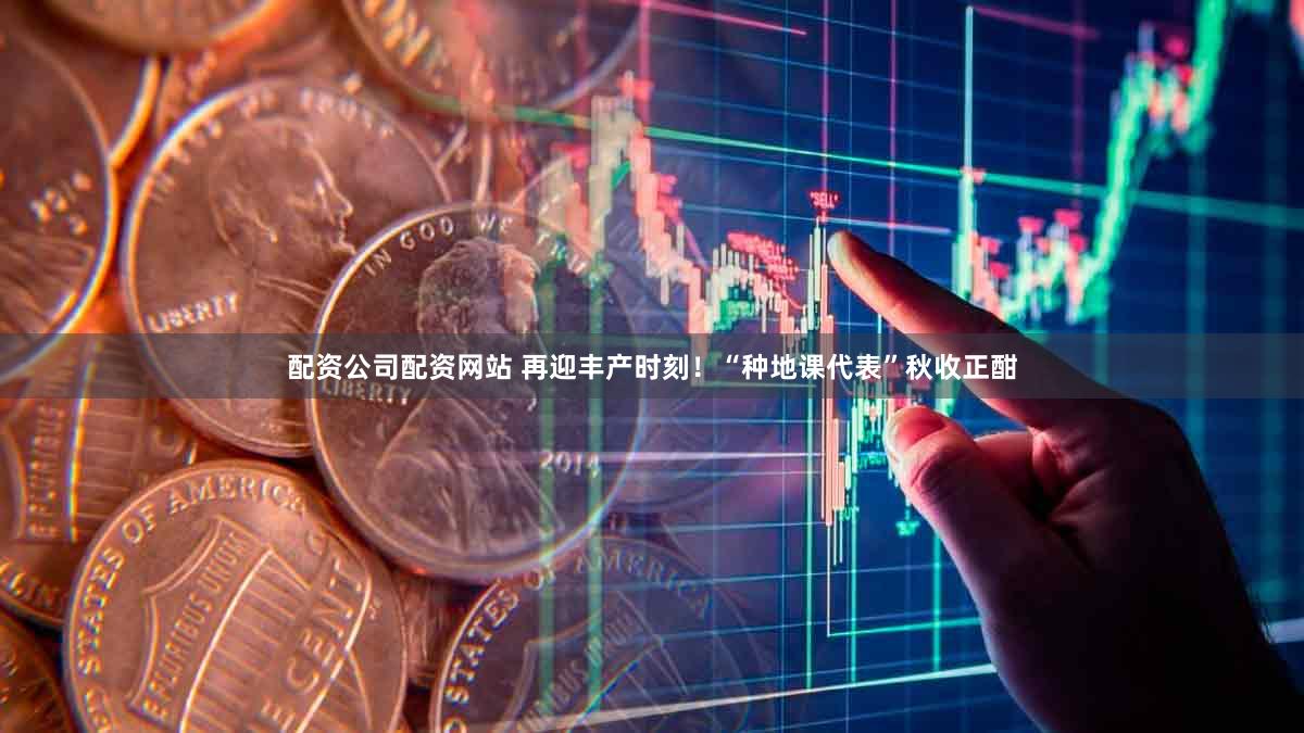配资公司配资网站 再迎丰产时刻！“种地课代表”秋收正酣