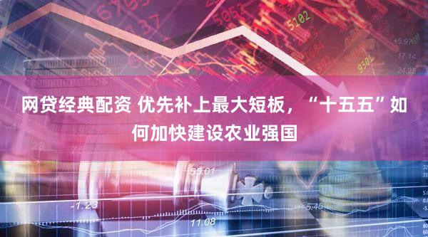 网贷经典配资 优先补上最大短板，“十五五”如何加快建设农业强国