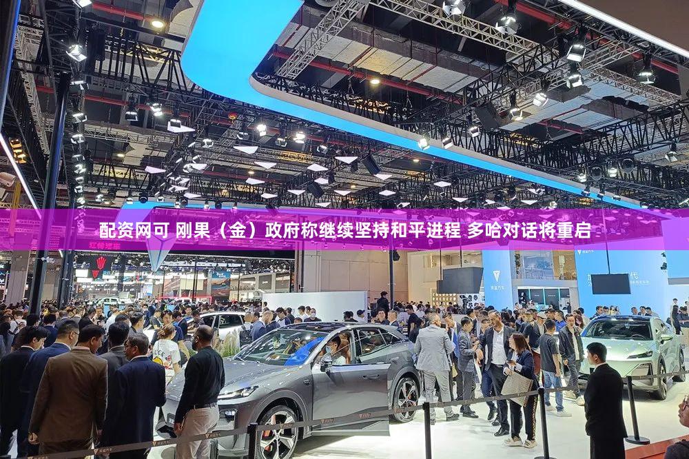 配资网可 刚果（金）政府称继续坚持和平进程 多哈对话将重启