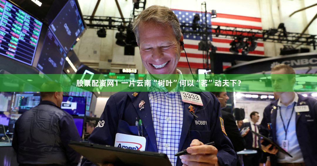 股票配资网1 一片云南“树叶”何以“茗”动天下？