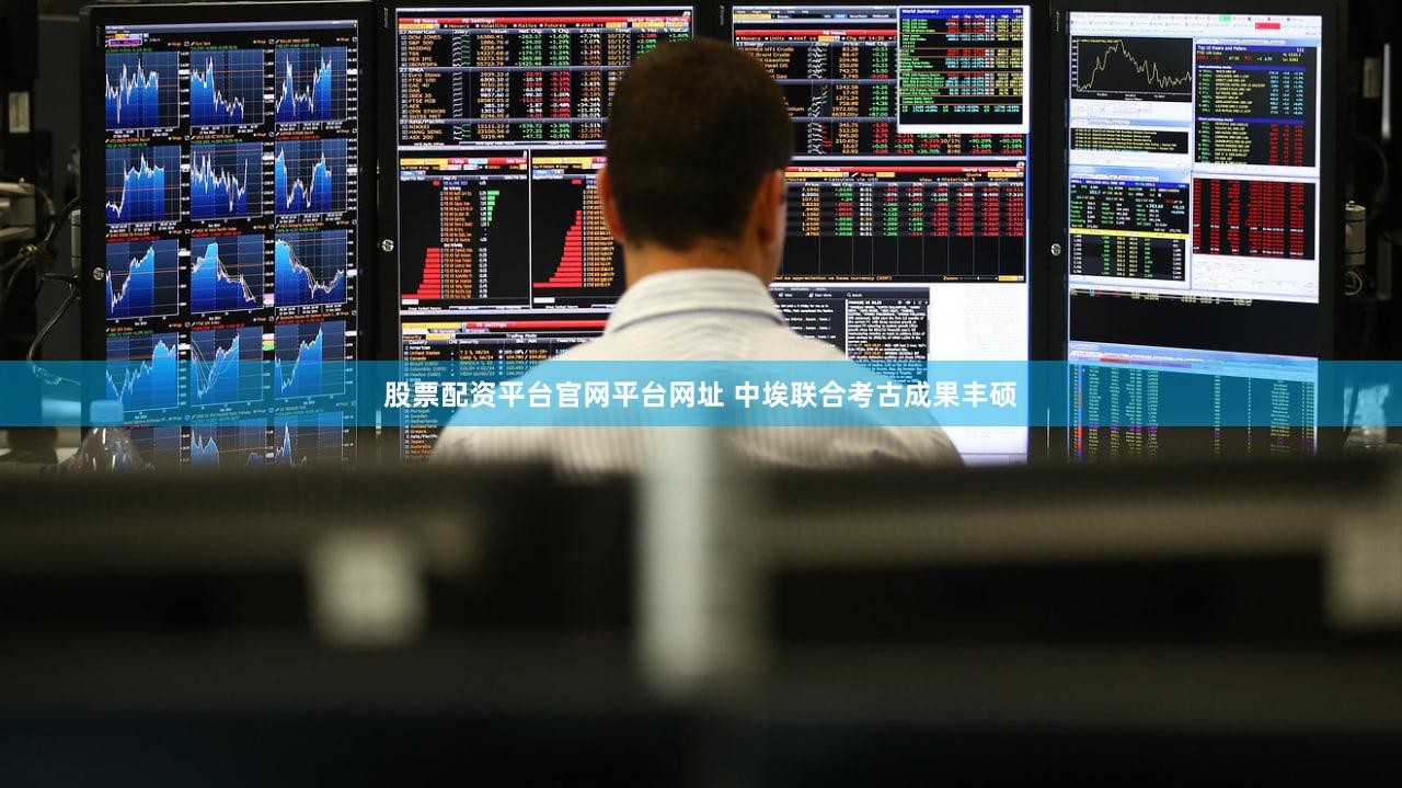 股票配资平台官网平台网址 中埃联合考古成果丰硕