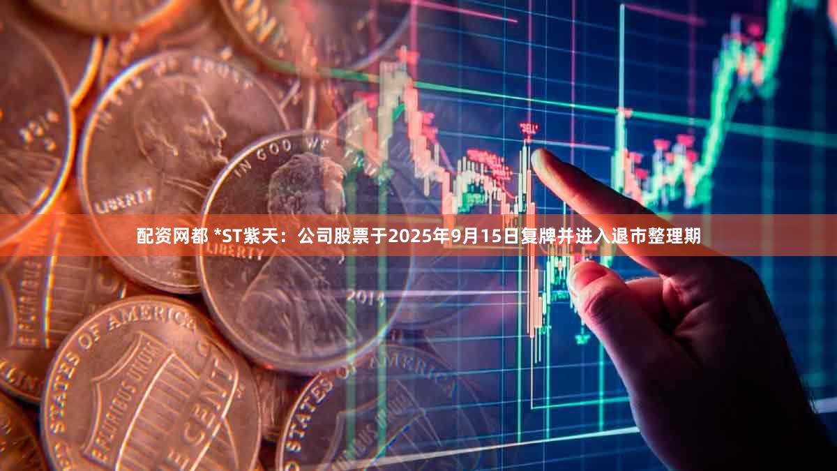 配资网都 *ST紫天：公司股票于2025年9月15日复牌并进入退市整理期