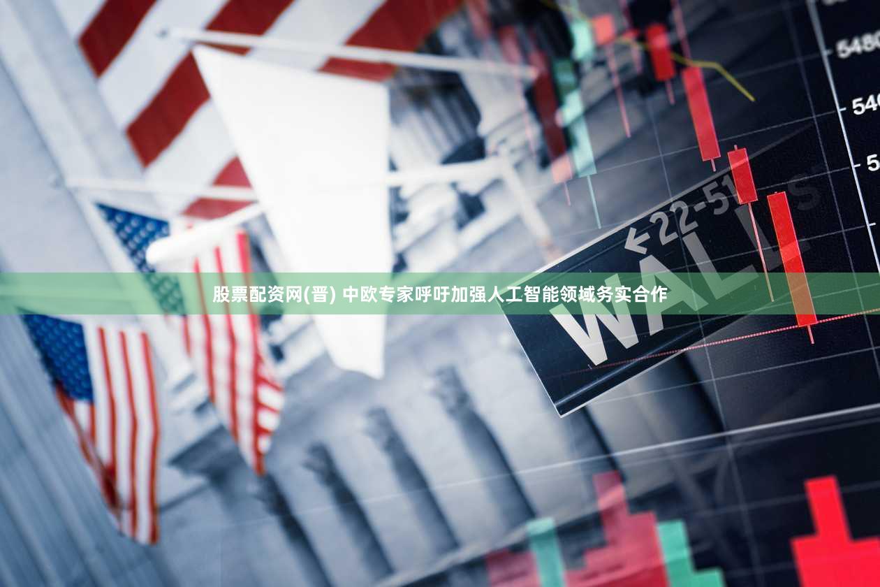 股票配资网(晋) 中欧专家呼吁加强人工智能领域务实合作