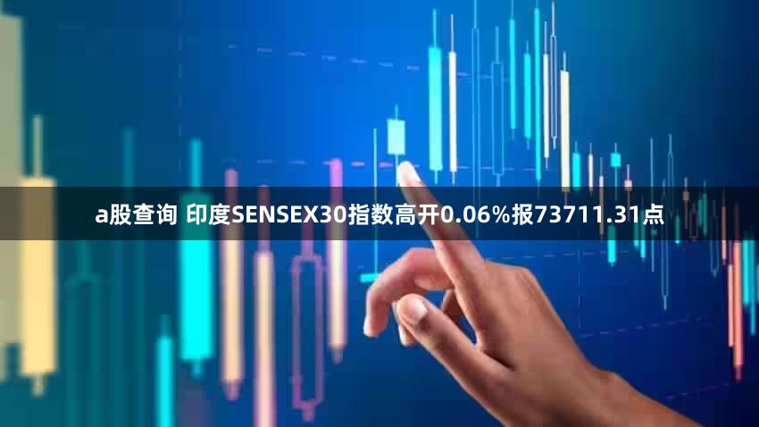 a股查询 印度SENSEX30指数高开0.06%报73711.31点