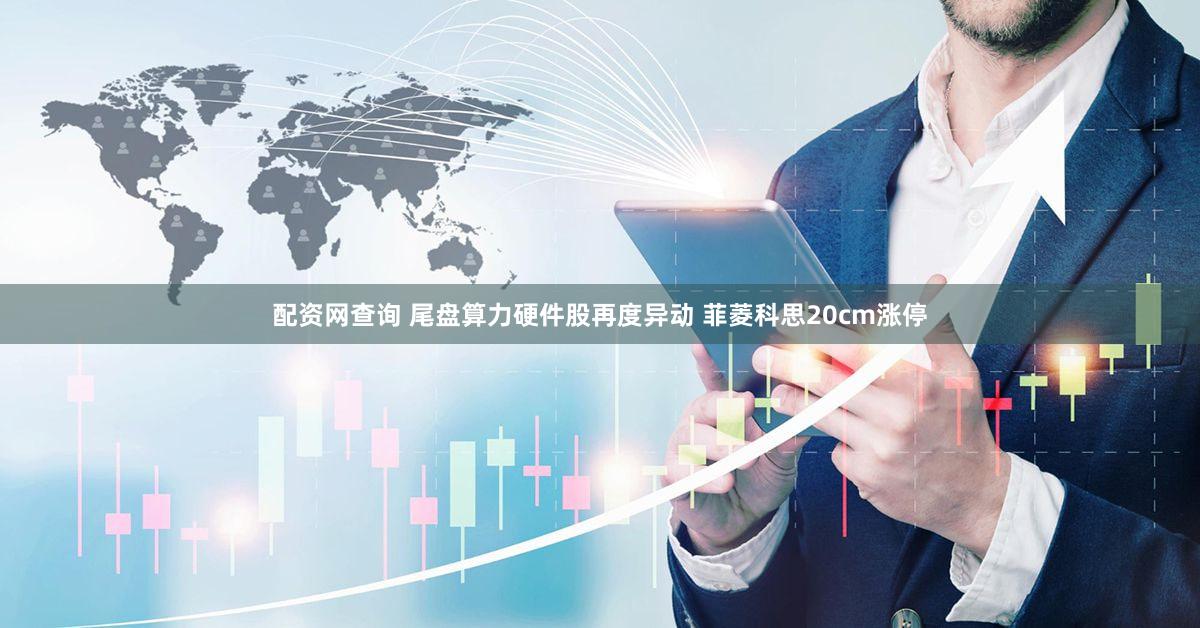 配资网查询 尾盘算力硬件股再度异动 菲菱科思20cm涨停