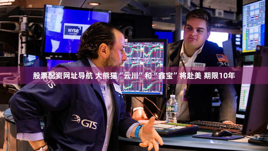 股票配资网址导航 大熊猫“云川”和“鑫宝”将赴美 期限10年