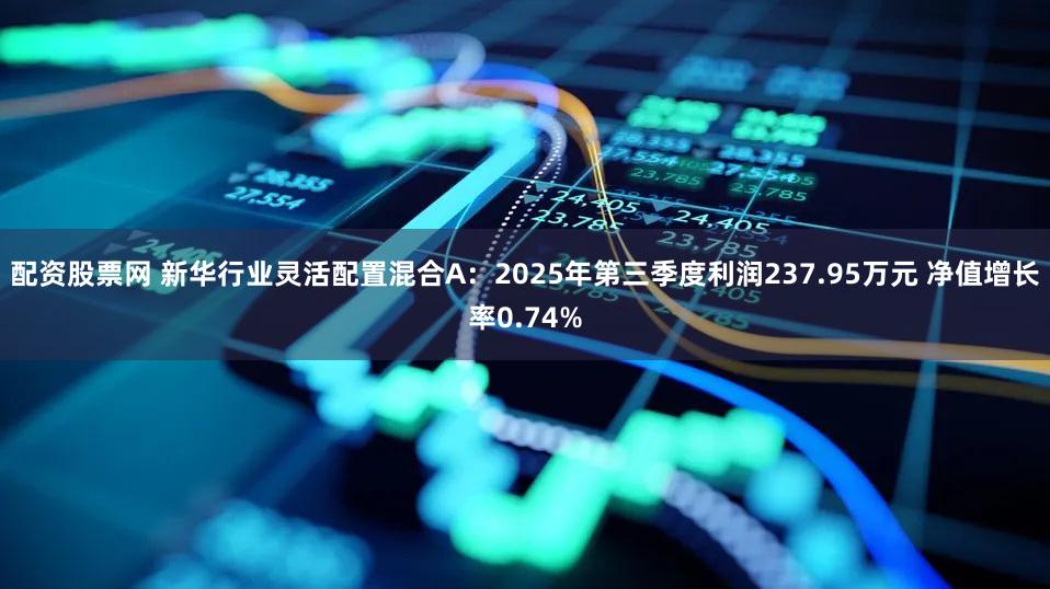 配资股票网 新华行业灵活配置混合A:2025年第三季度利润237.95万元 净值增长率0.74%