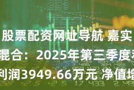 股票配资网址导航 嘉实策略优选混合：2025年第三季度利润3949.66万元 净值增长率7.56%